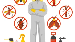 How Climate Change is Driving Demand for Effective Pest Control Products Davao