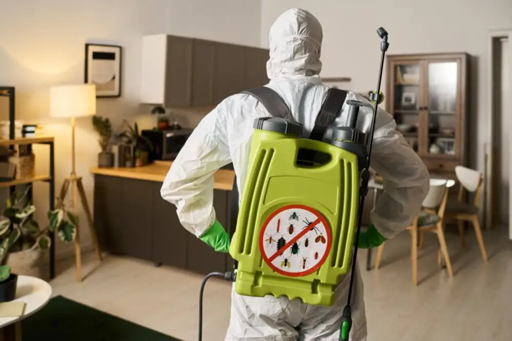 Learn how Pest Control Services in Davao City from ADJ and R Pest Control safeguard homes and businesses from infestations after floods. Protect your health and property today.