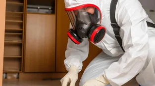 Why Some Davao Homes Still Get Pests After Treatment — and How to Fix It Why Some Davao Homes Still Get Pests After Treatment — and How to Fix It