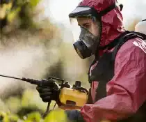 Pest Control Davao